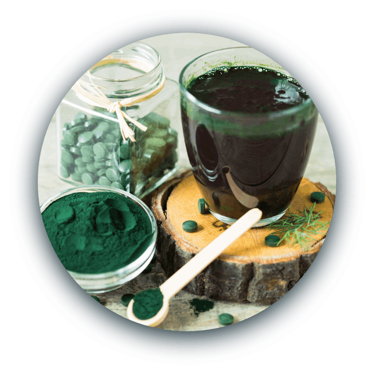 inblue developpement - Spiruline française et responsable - Picto spiruline - laboratoire - inblue spiruline